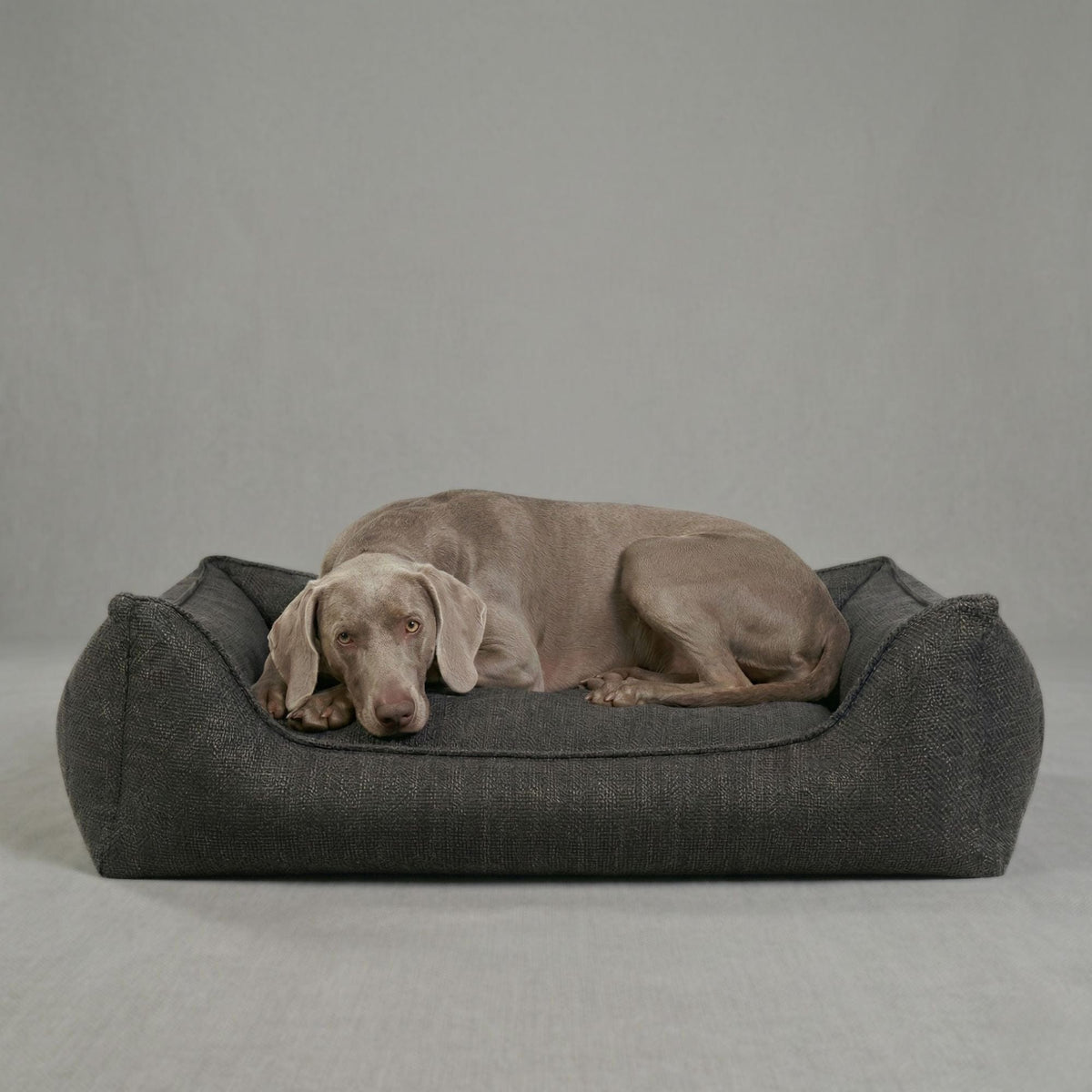 Orthopedic Dog Bed product image 48