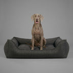 Orthopedic Dog Bed product image 50