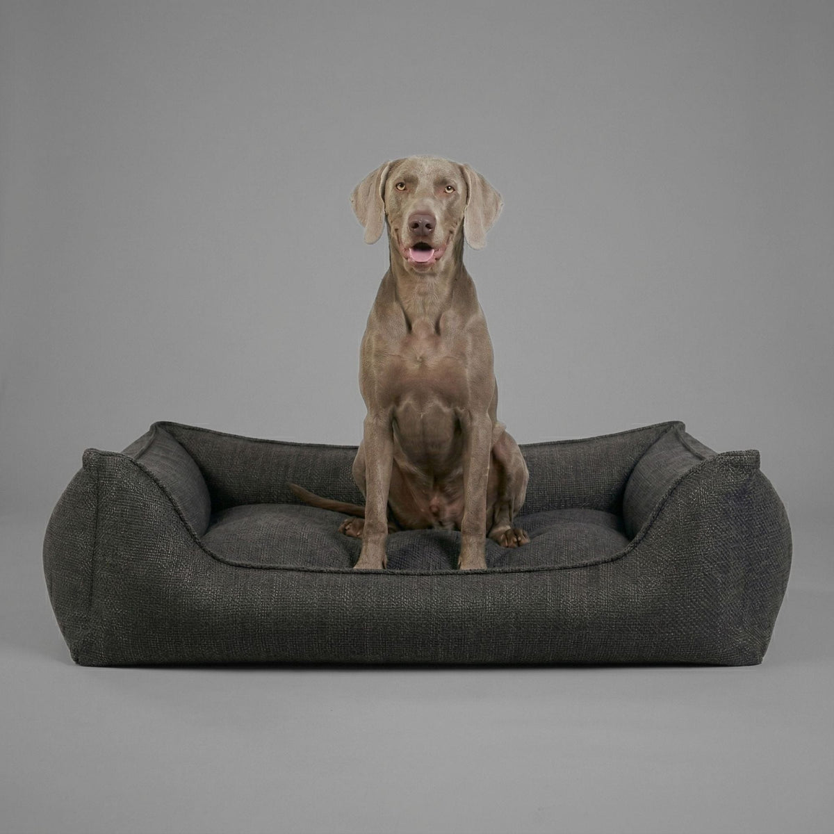 Orthopedic Dog Bed product image 50