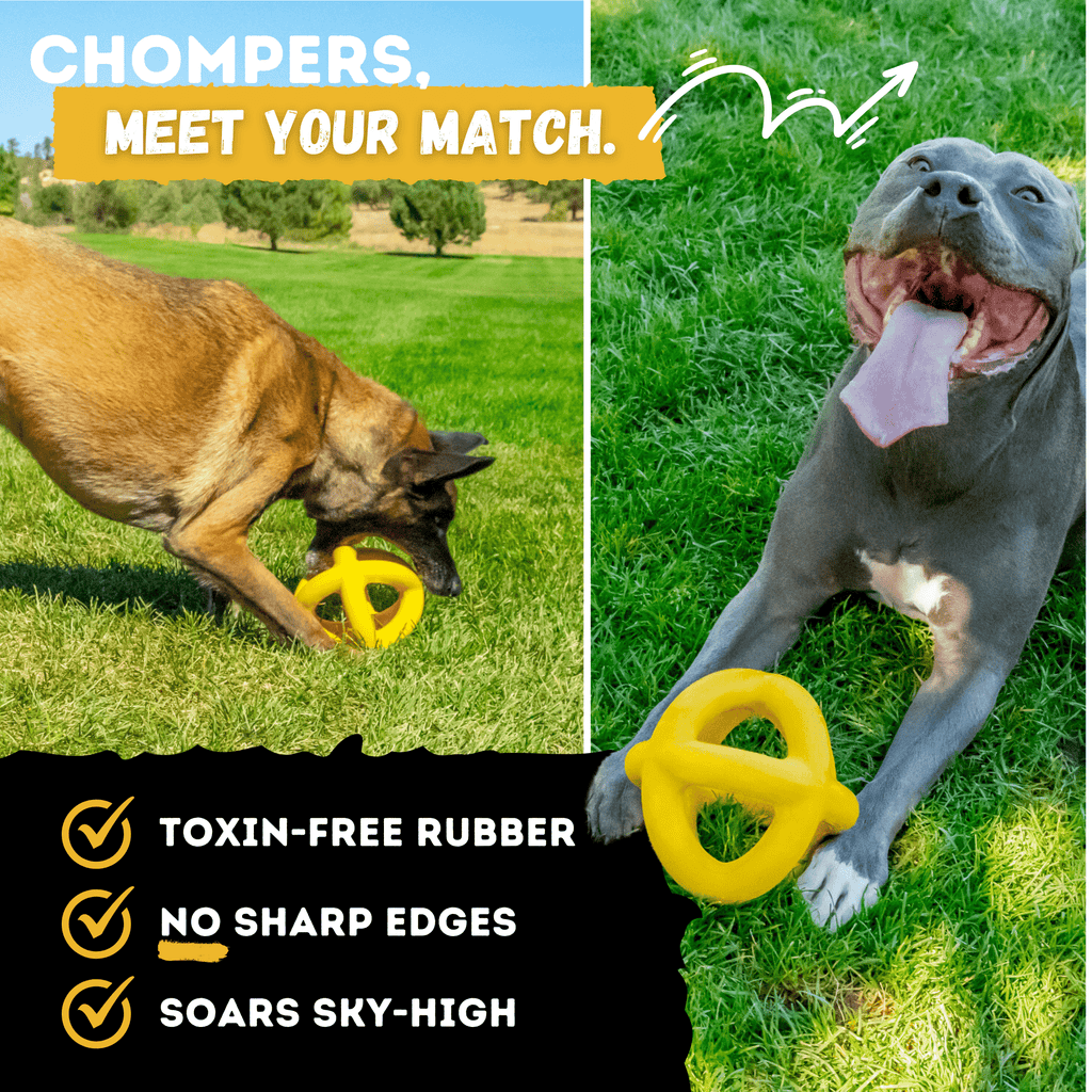 Dog Chew Ball product image 4