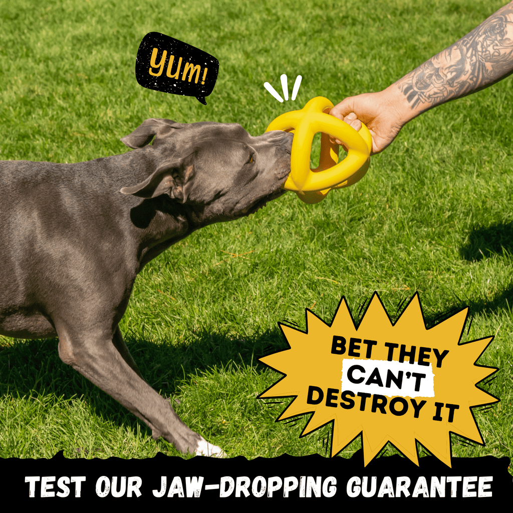 Dog Chew Ball product image 5
