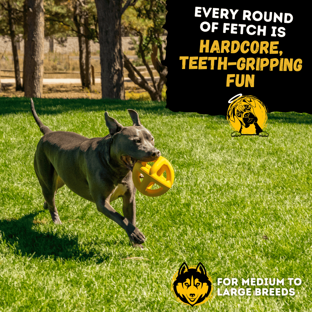 Dog Chew Ball product image 7