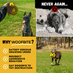 Dog Chew Ball product image 8