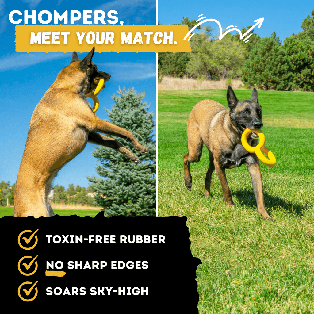 Rubber Dog Tug Toy product image 5