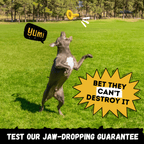 Rubber Dog Tug Toy product image 6
