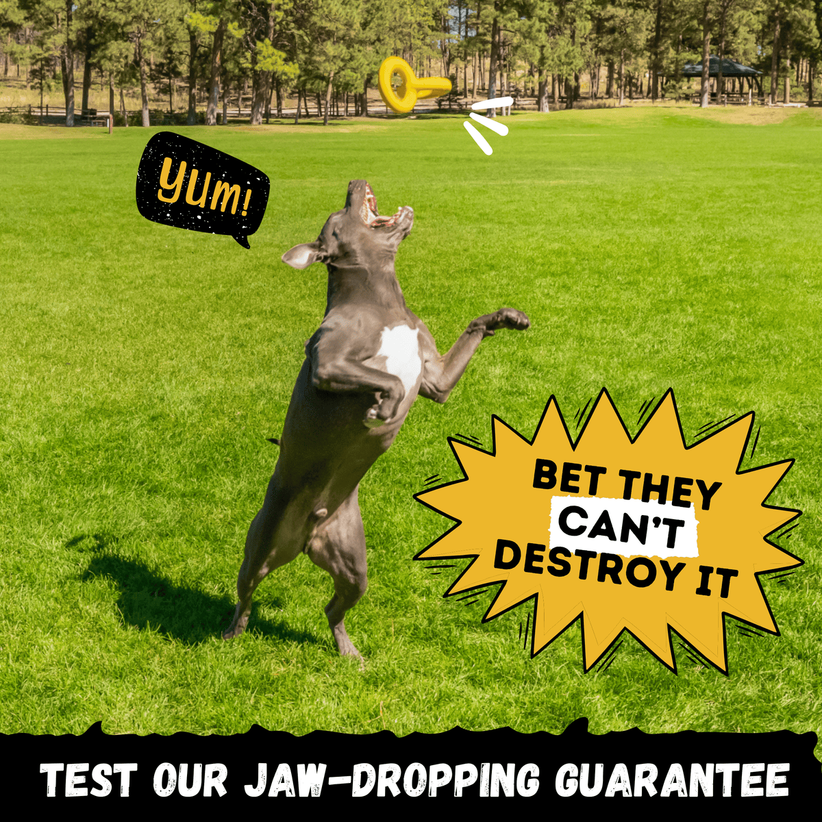 Rubber Dog Tug Toy product image 6