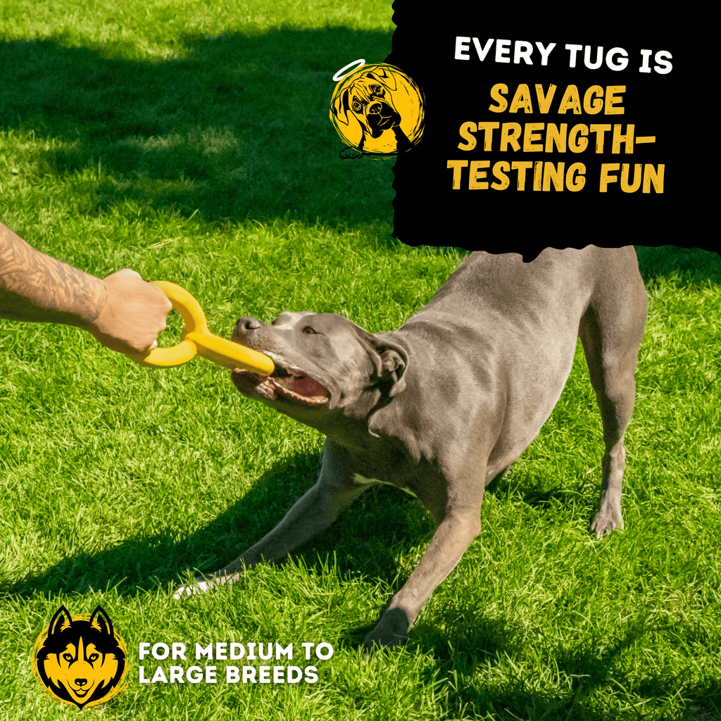 Rubber Dog Tug Toy product image 8