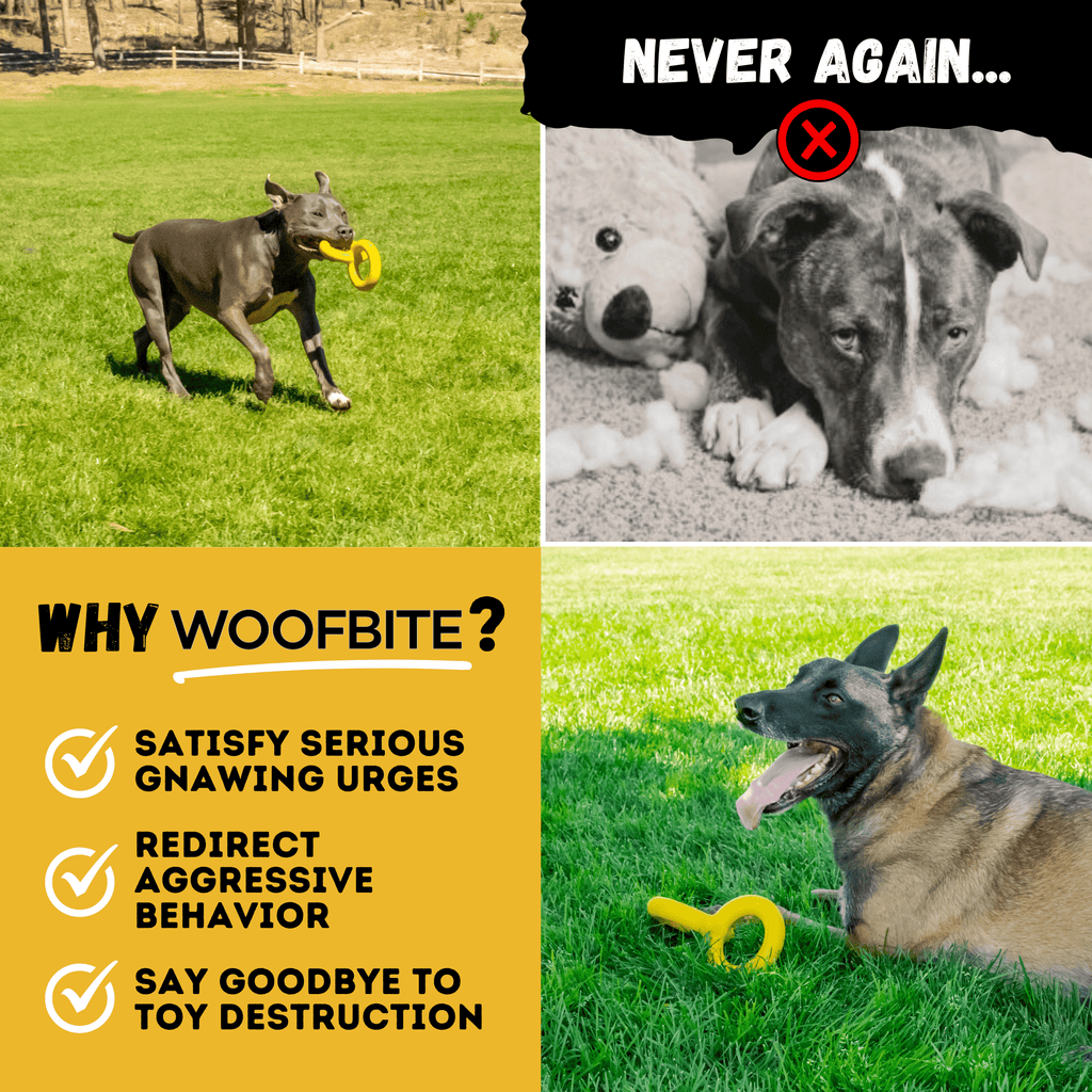 Rubber Dog Tug Toy product image 9