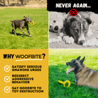 Rubber Dog Tug Toy product image 9
