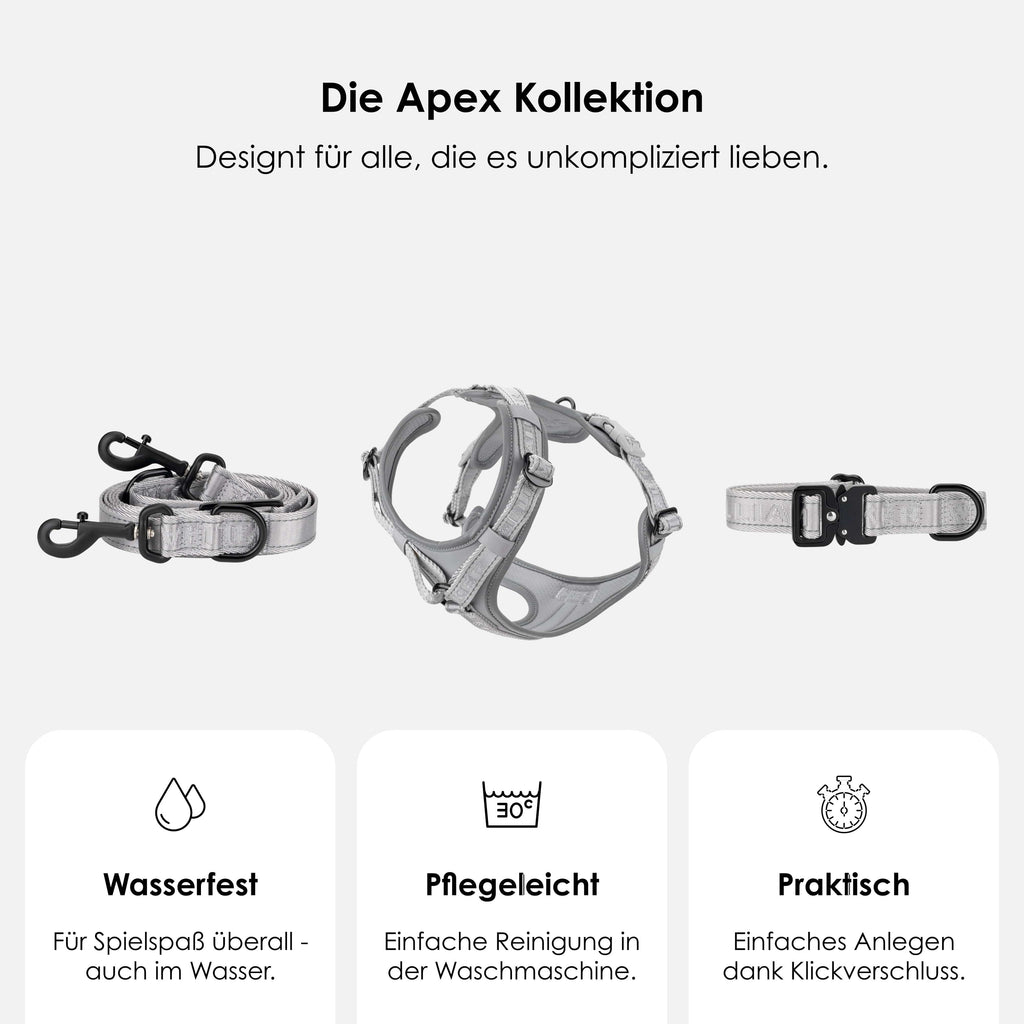 Y Dog Harness product image 9