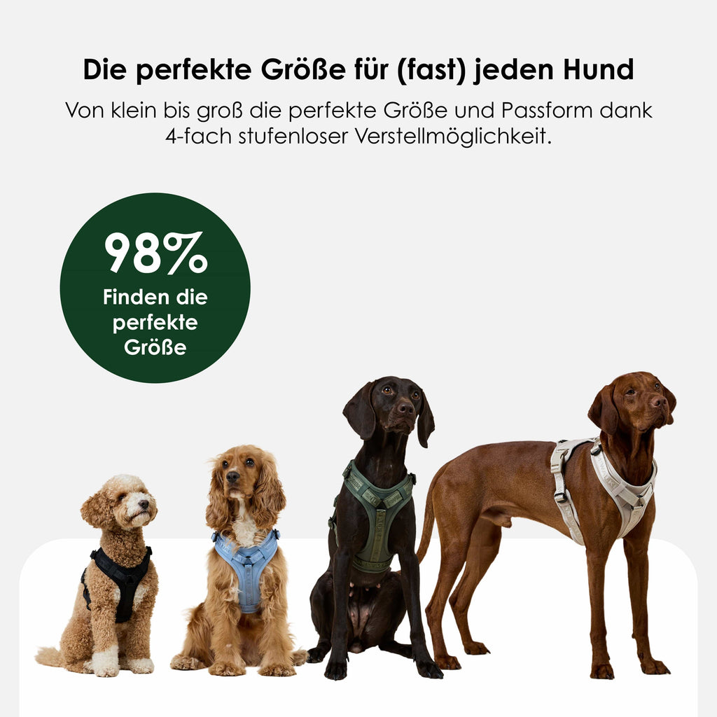 Y Dog Harness product image 10