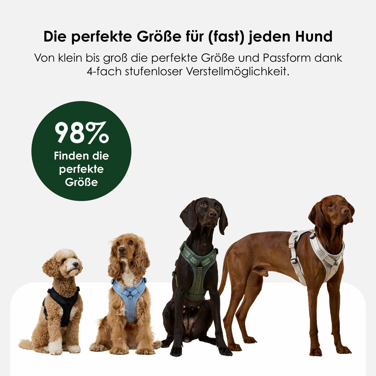 Y Dog Harness product image 10