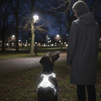 Y Dog Harness product image 14