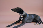 Martingale Dog Collar product image 8