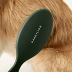 Dog Grooming Brush product image 2
