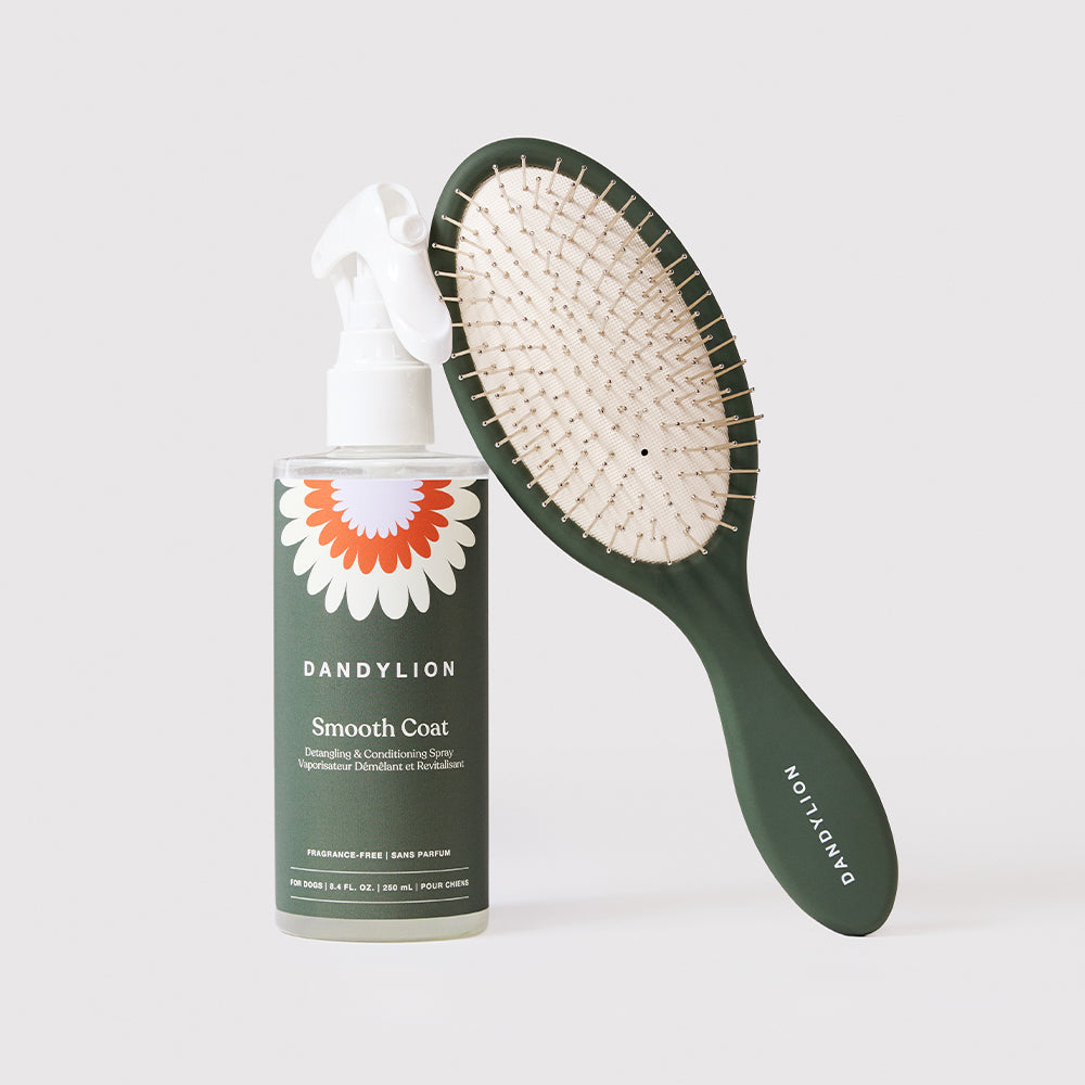 Dog Grooming Set product image 1
