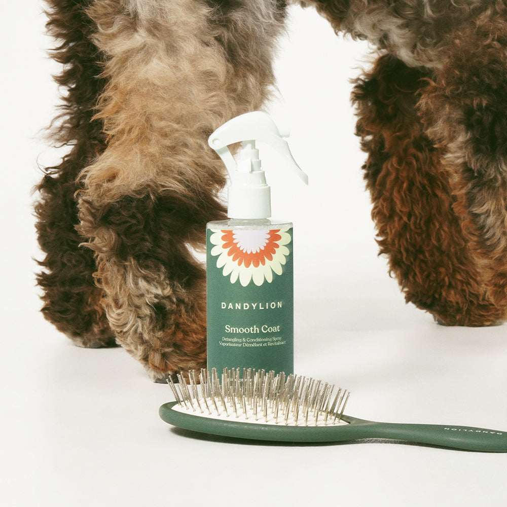Dog Grooming Set product image 2
