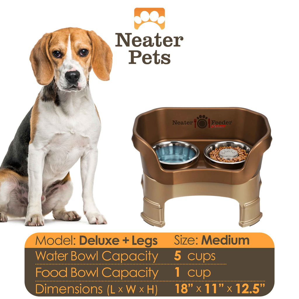 Elevated Slow Feeder Station for Dogs, Stainless Steel Bowl Set and Spill-Catching Basin in Three Sizes source image 109