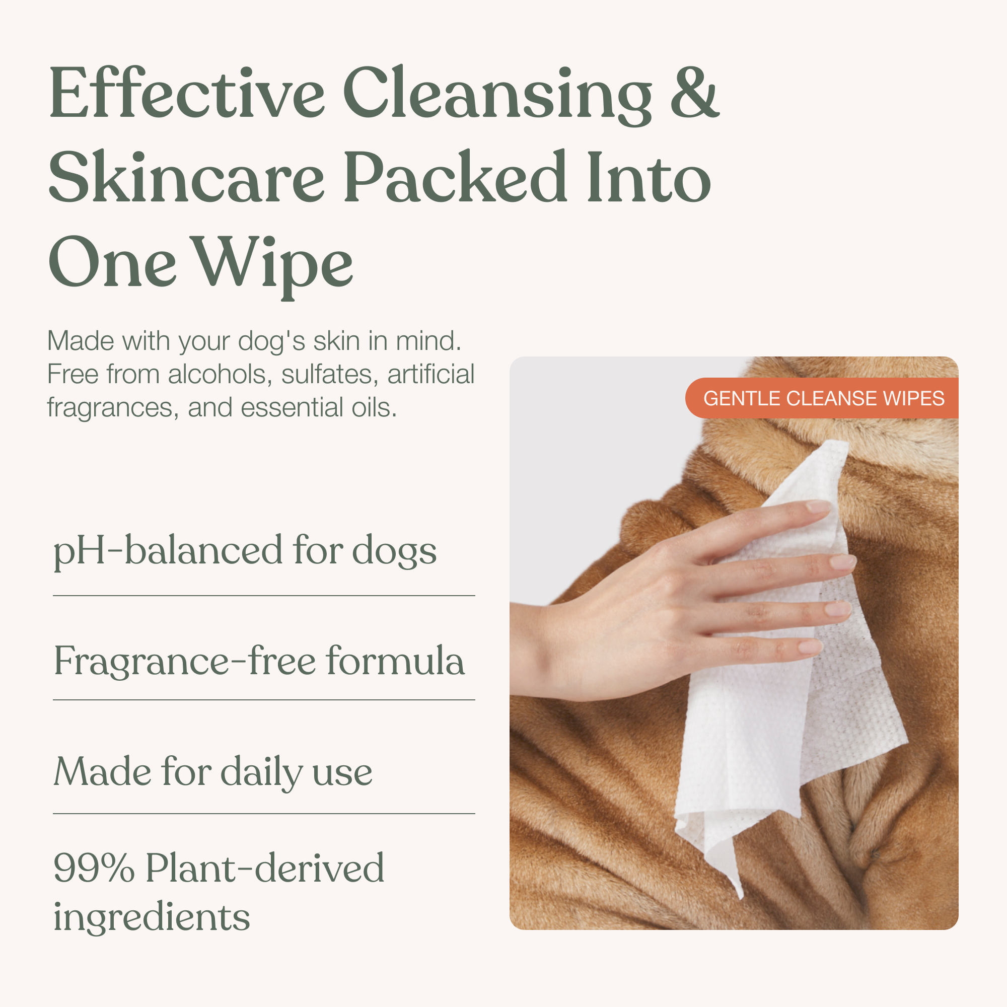Dog Wipes product image 6