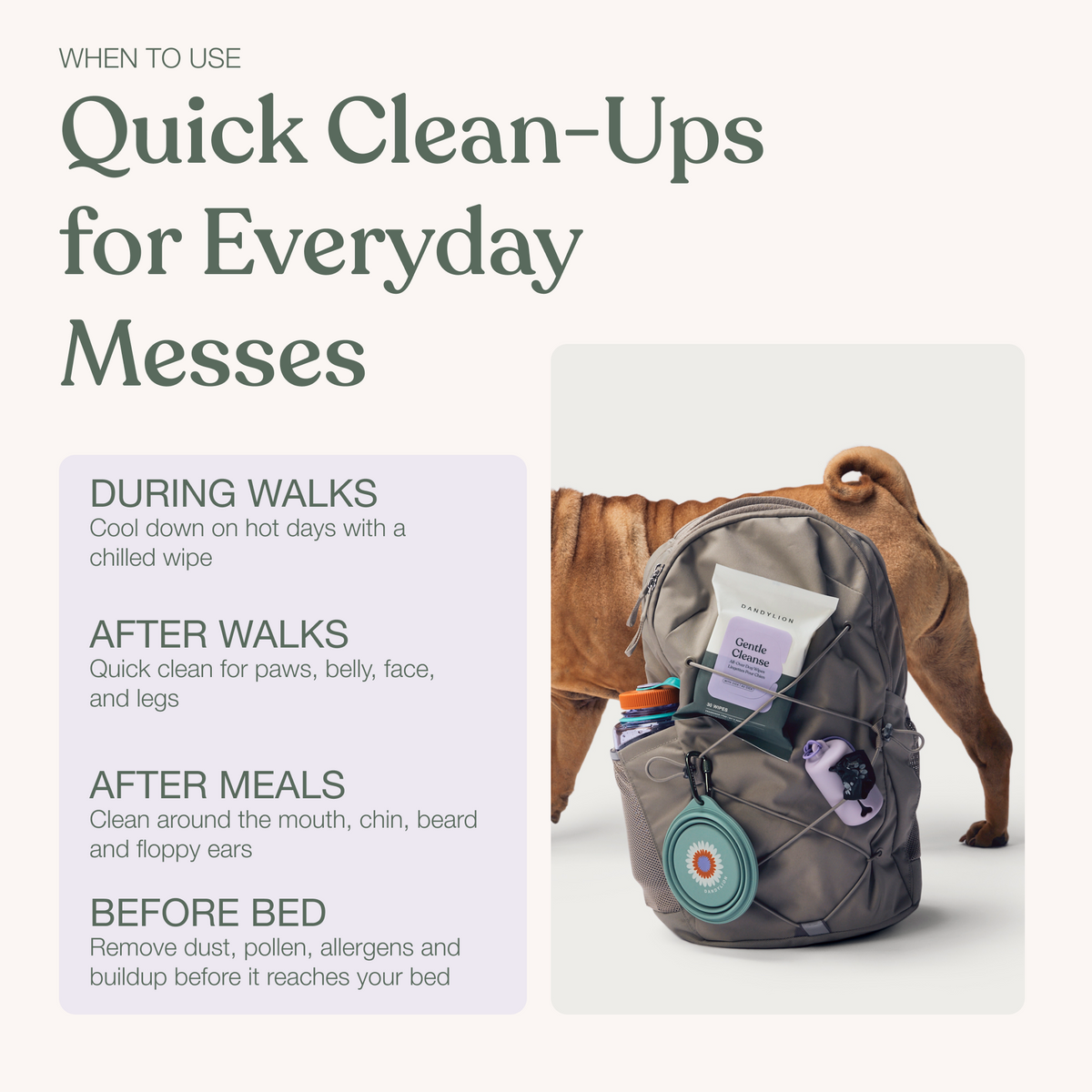 Dog Wipes product image 8