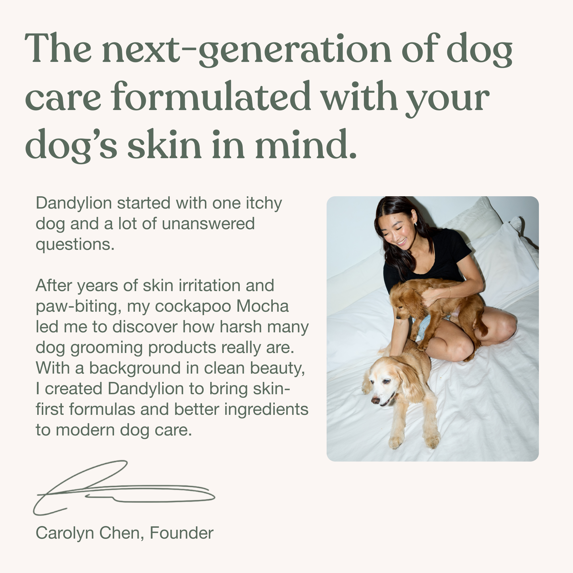 Dog Wipes product image 12