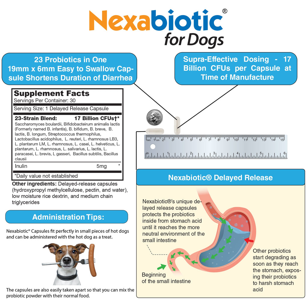 Probiotic Capsules product image 4