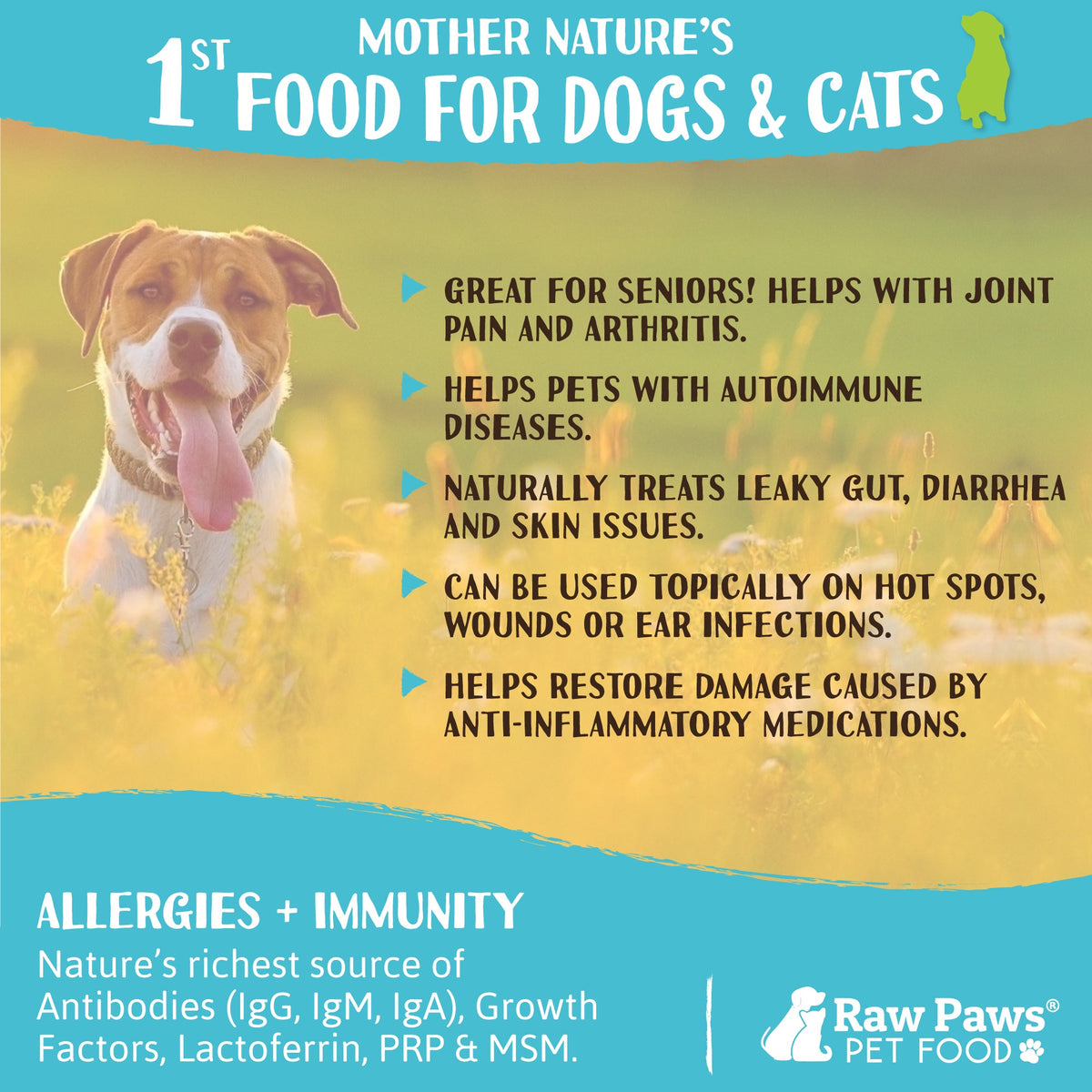 Bovine Colostrum Supplement Powder for Dogs & Cats, 5 oz: Easy Protein Support for Everyday Feeding