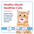 Cat Dental Gel product image 7