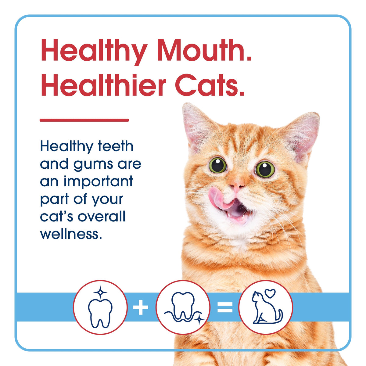Cat Dental Gel product image 7