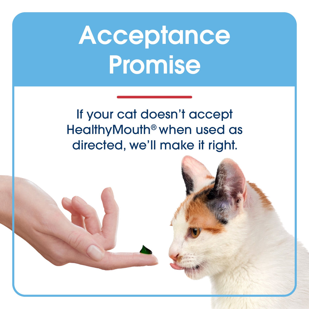 Cat Dental Gel product image 9