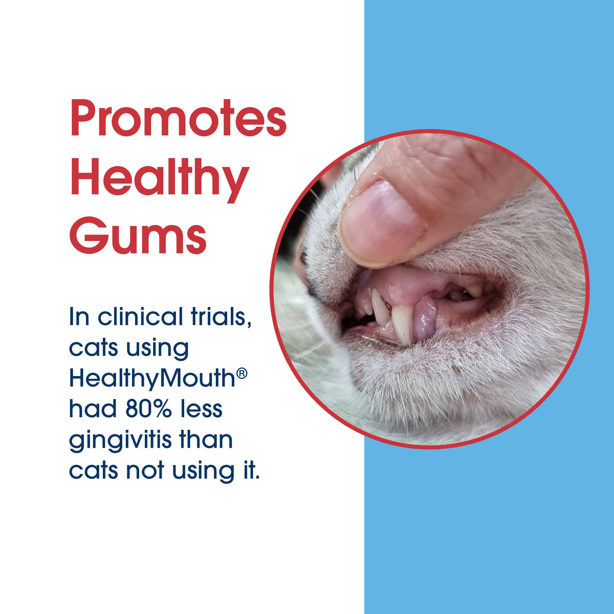 Cat Dental Gel product image 14