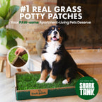Dog Potty Grass Mat product image 2