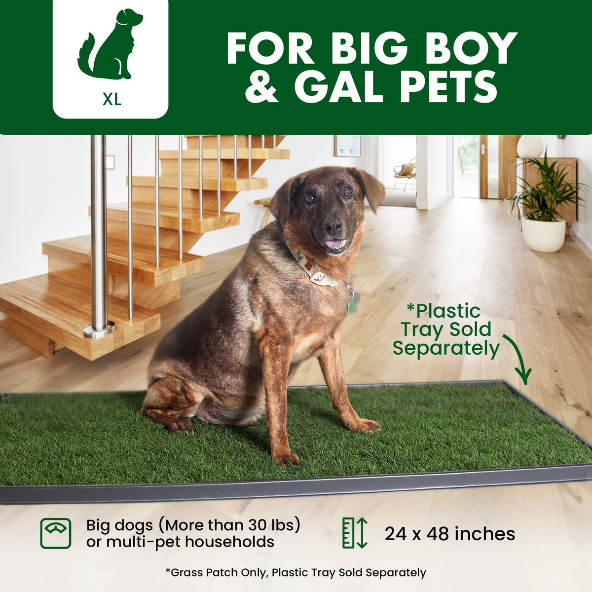 Dog Potty Grass Mat product image 3