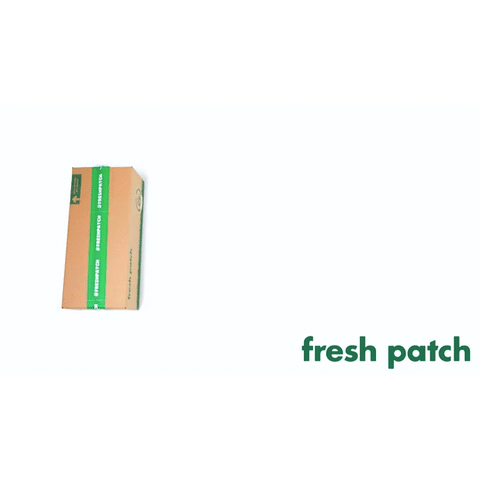 Dog Potty Grass Mat product image 13