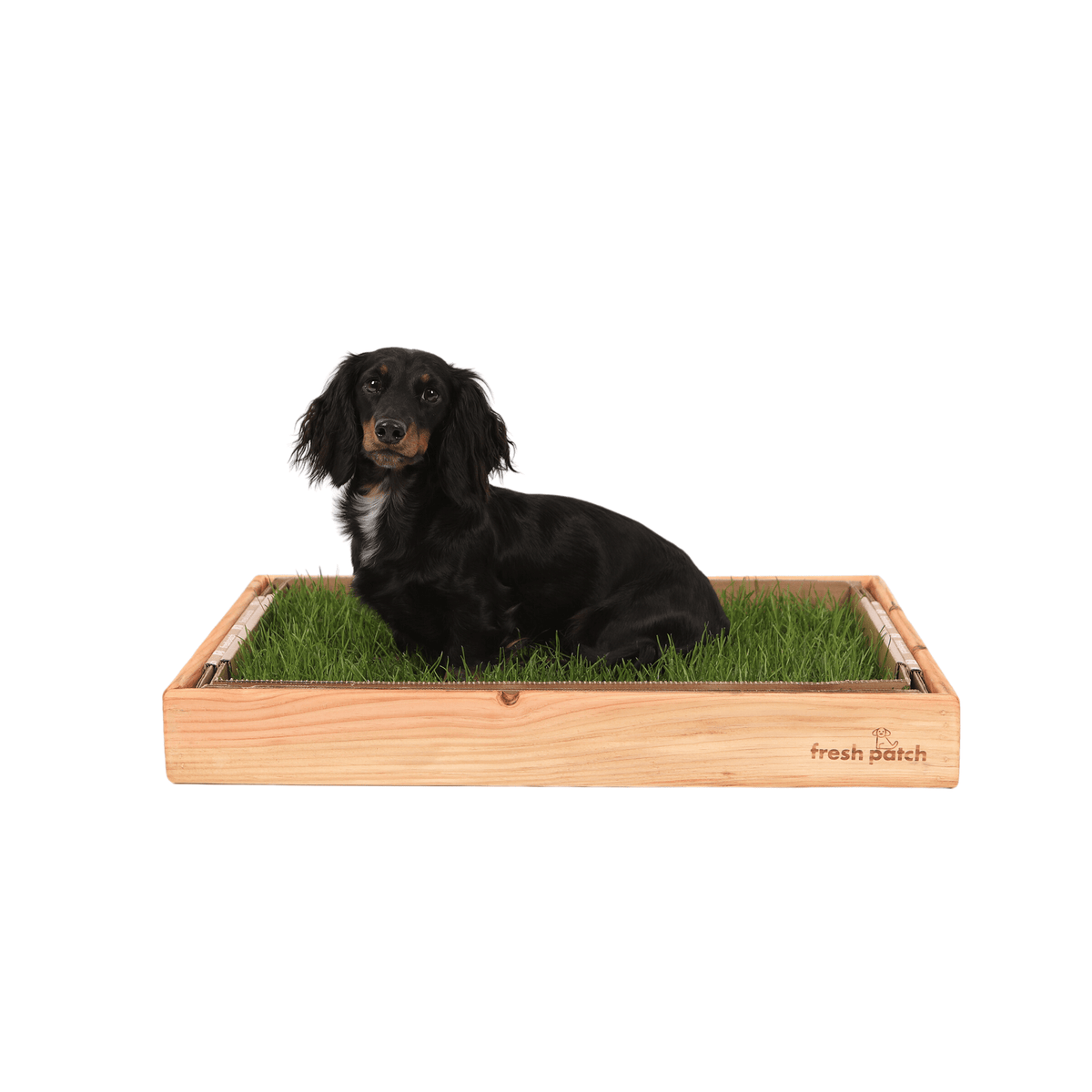 Dog Potty Sleeve product image 2