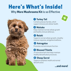 Dog immune support supplement kit for antioxidant balance and everyday holistic wellness, two liquid formulas
