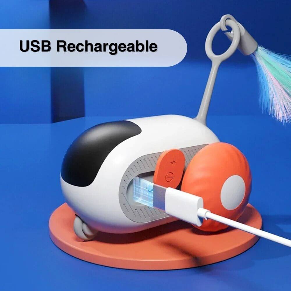 Interactive Cat Toy: Remote-Controlled Smart Play for Cats with Auto Obstacle Avoidance and USB Rechargeable Fun