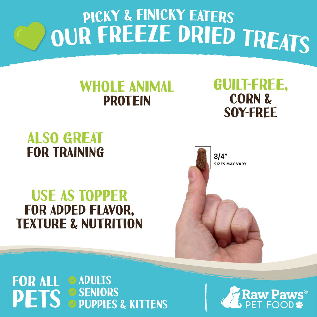 Freeze-Dried Pet Food, Beef Recipe for Dogs & Cats, 4-oz Small-Batch Raw All Life Stages Blend