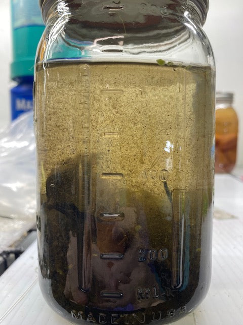 Live Aquarium Microfauna Culture product image 2