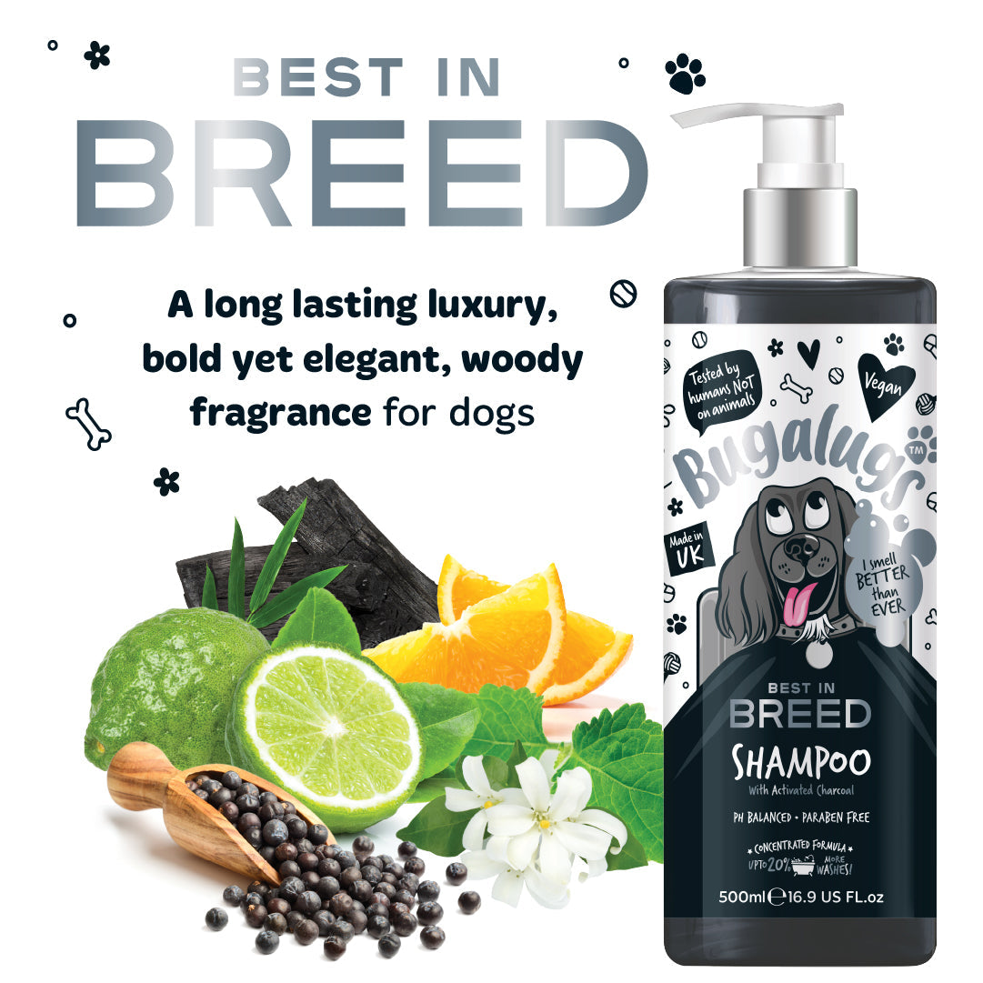 Dog Shampoo product image 3