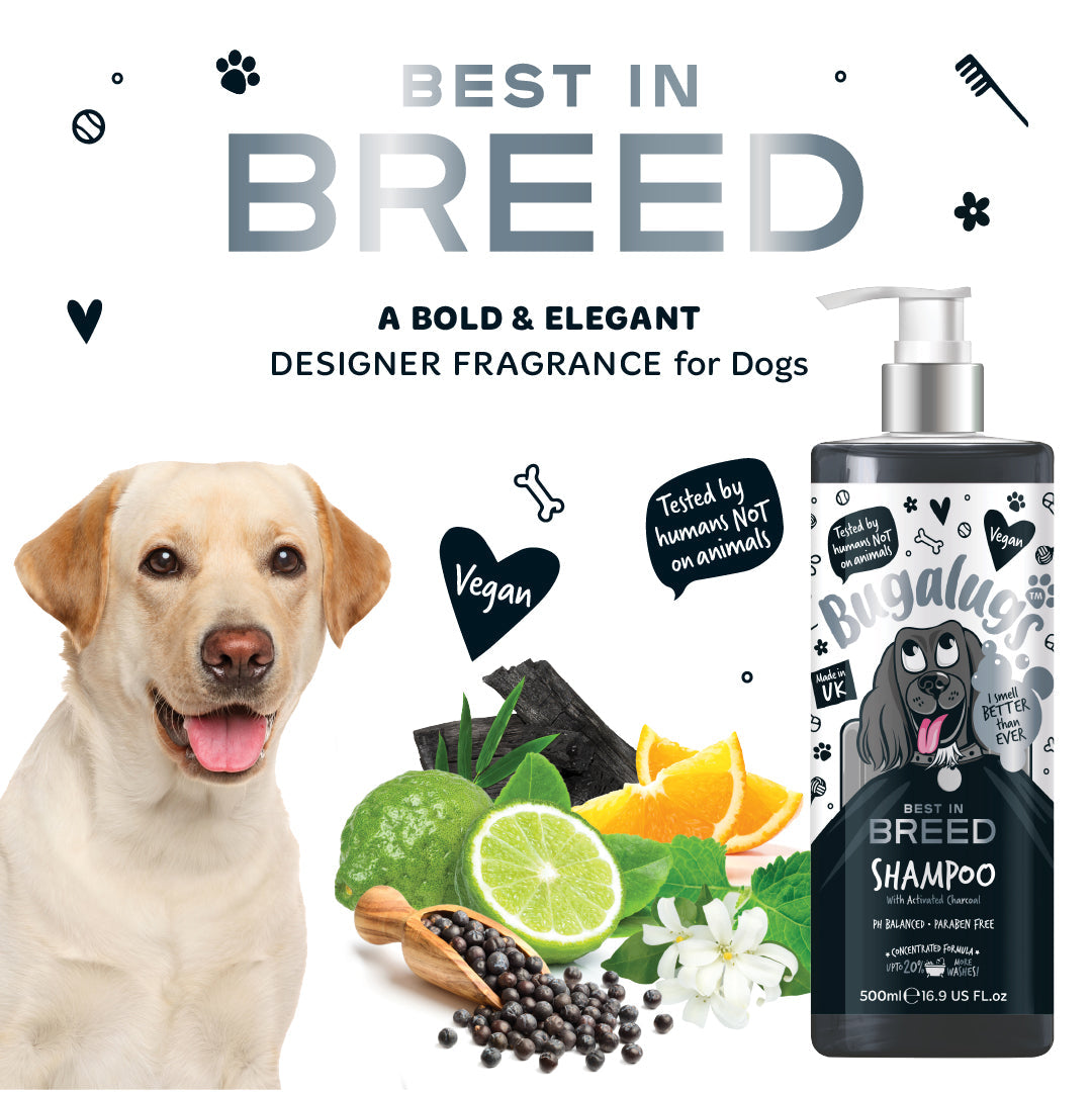 Dog Shampoo product image 5