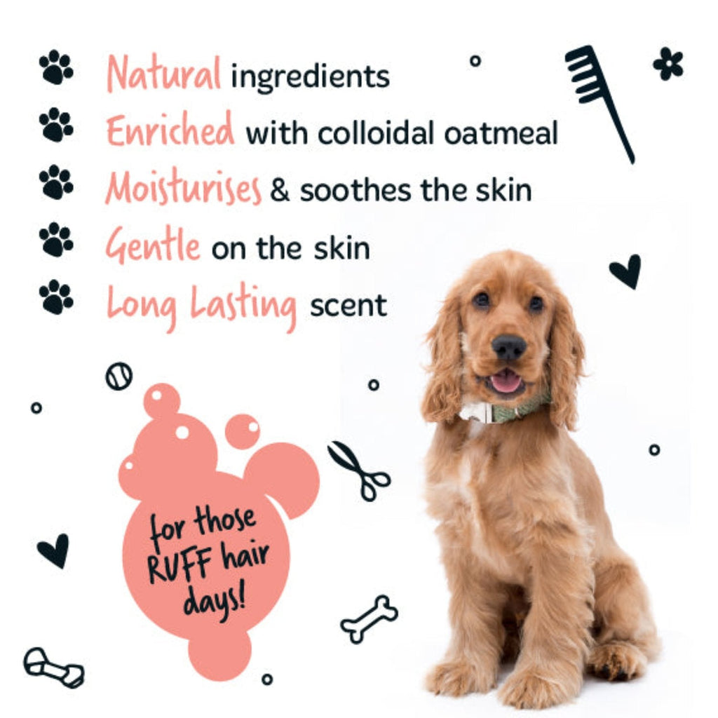 2-in-1 Dog Shampoo product image 5
