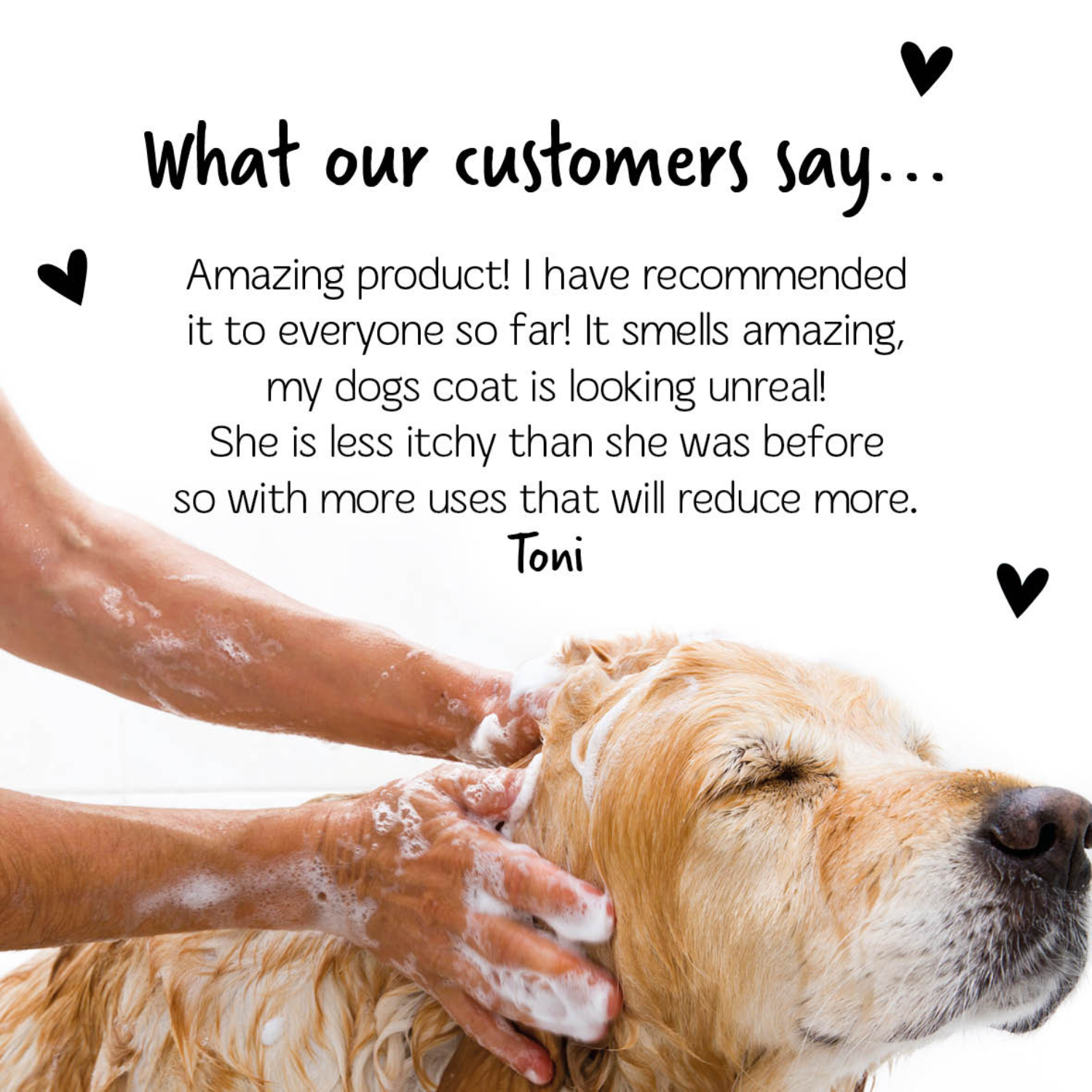 Dog Shampoo product image 6