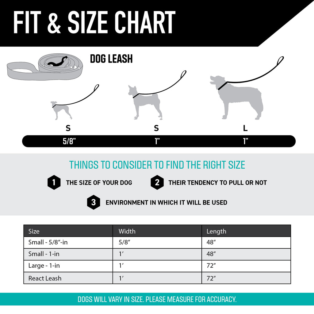 Dog Leash product image 4