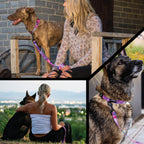 Dog Leash product image 6