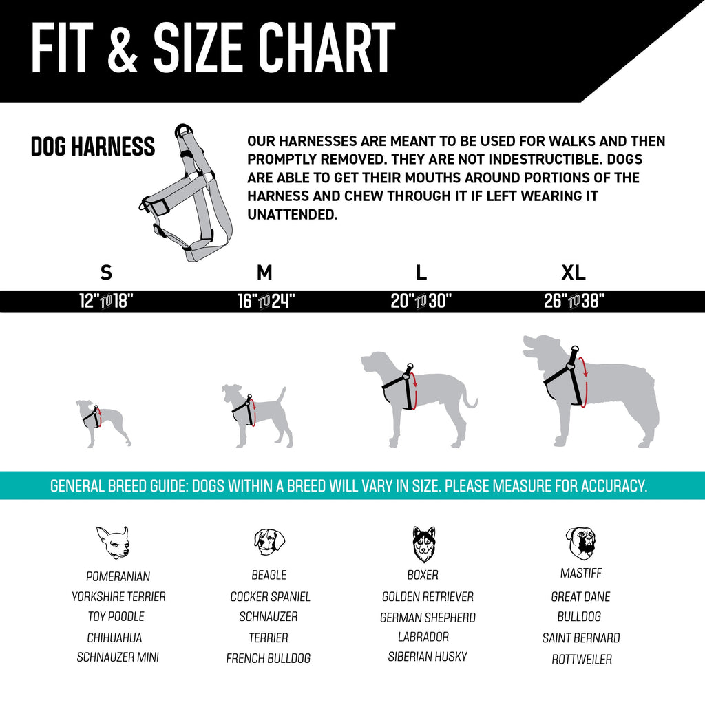Dog Harness product image 5