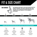 Dog Harness product image 5