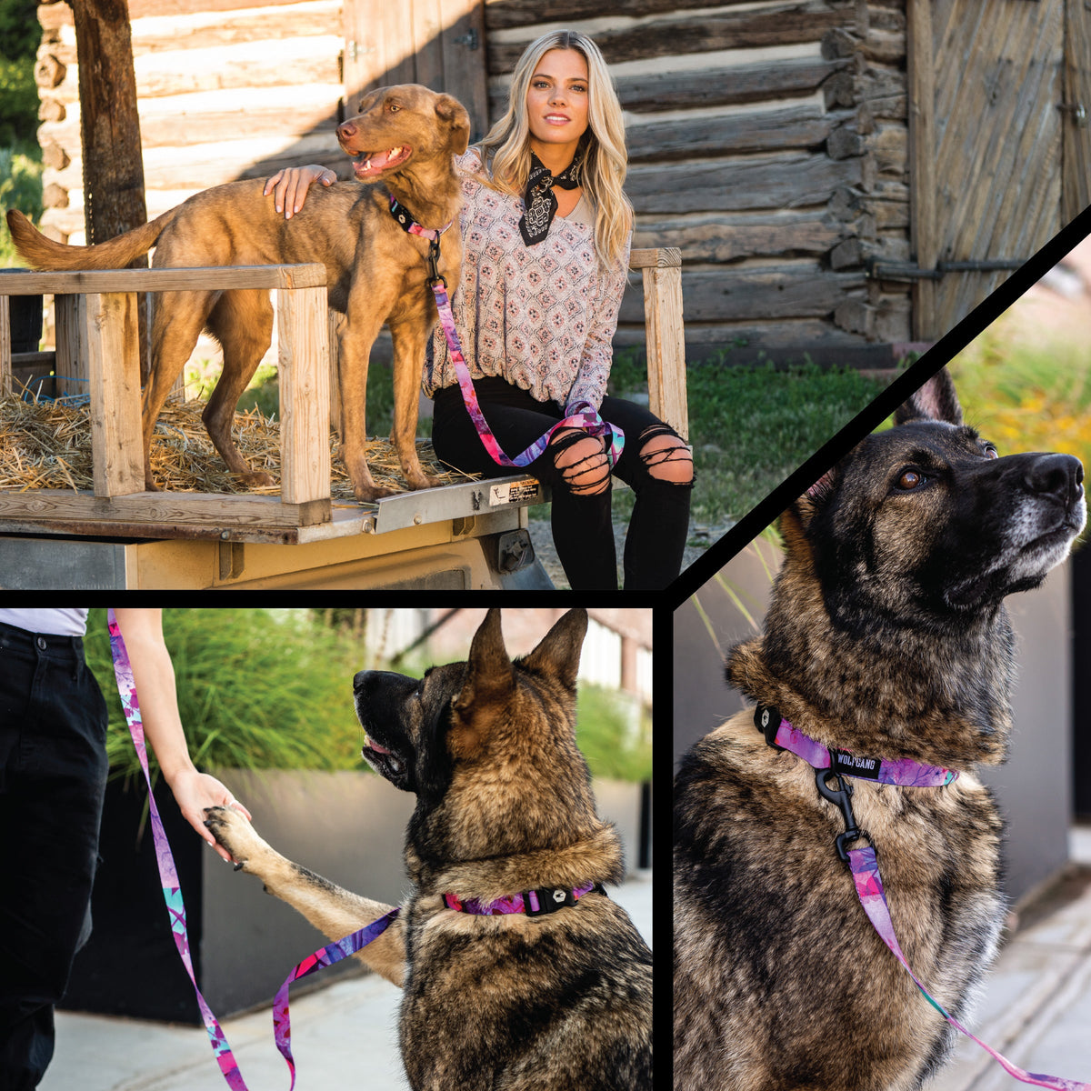 Dog Harness product image 6