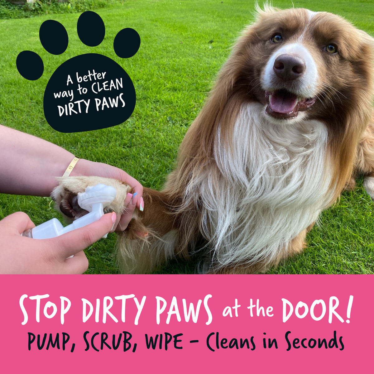 Paw Cleaner product image 4