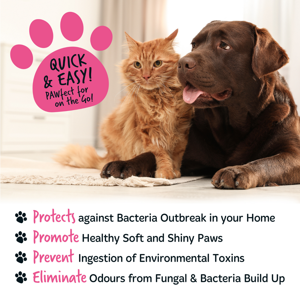 Paw Cleaner product image 9